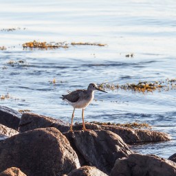 Kennebunkport-North Conway