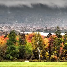 Chittenden-Springfield